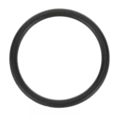 1 in x 3/32 in O-Ring for Pitco, Server Products – Replaces Pitco PP11104