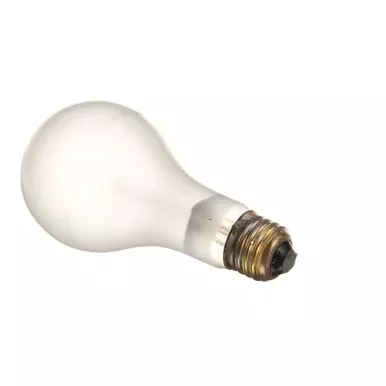100W Shatter-Proof Light Bulb