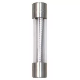 2-Pack 6A Type MDL Glass Tube Fuse