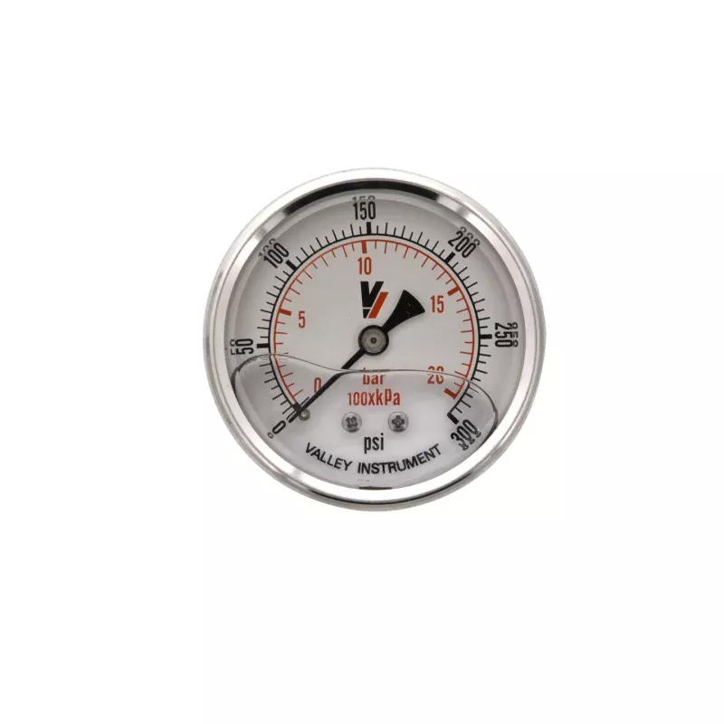 The 200904 Axeon Mounted Pressure Gauge