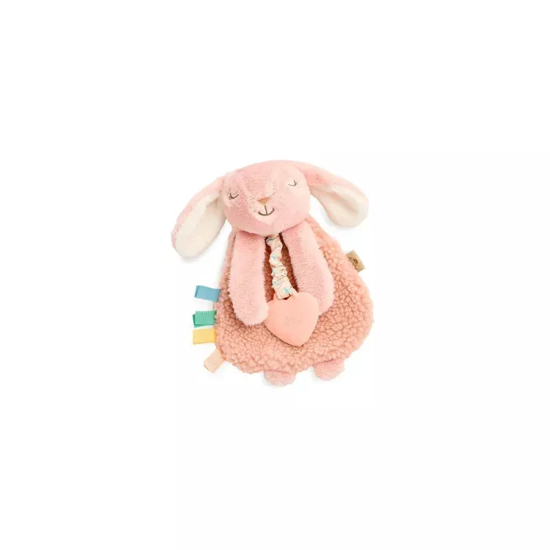 Itzy Ritzy Lovey Toy - Bunny
