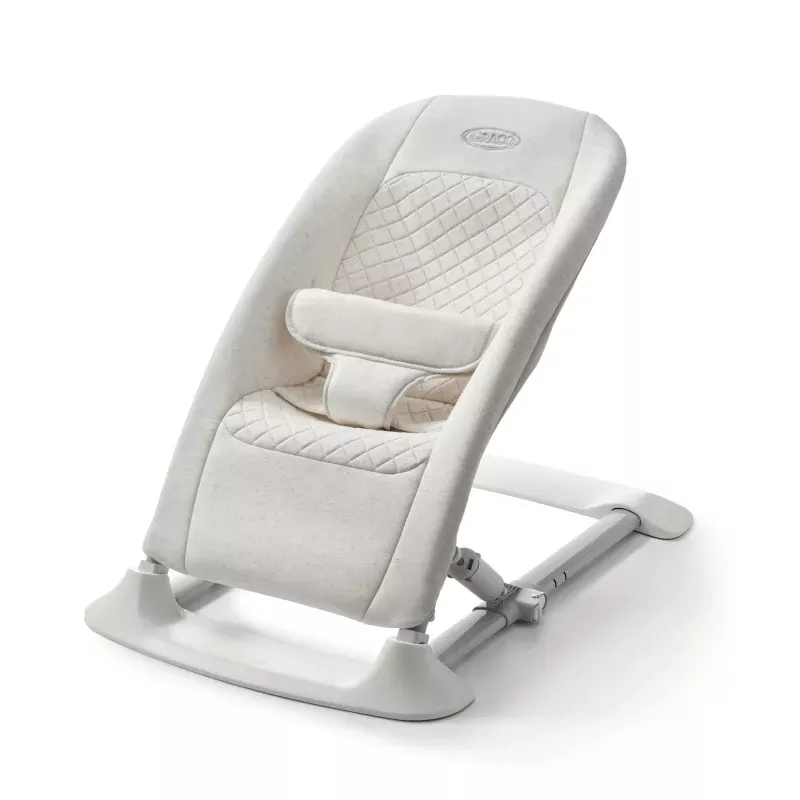 JumpStart 4-in-1 Activity Bouncer - Wren