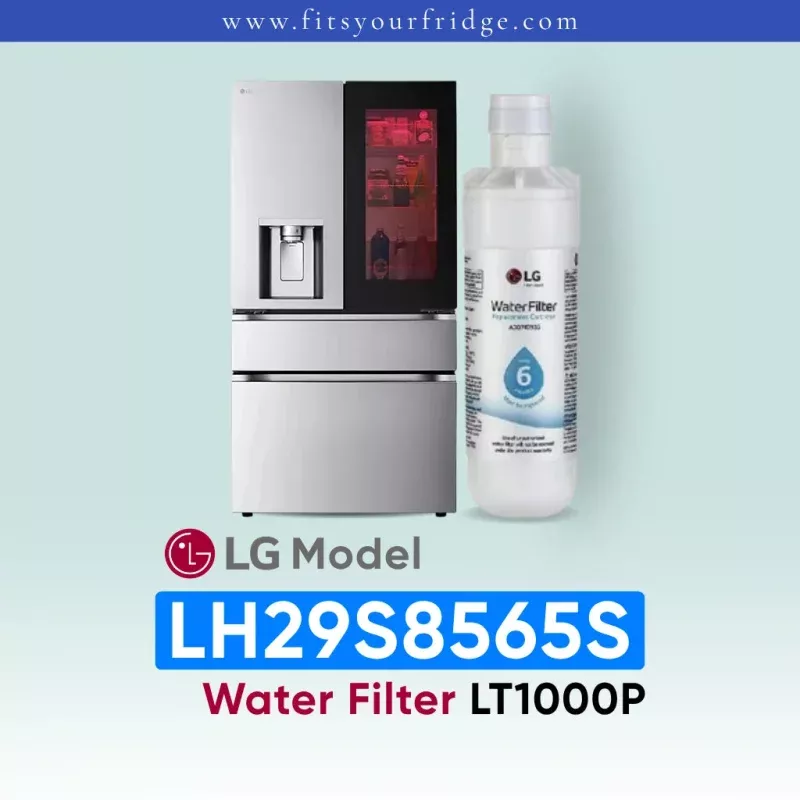 LG LH29S8565S Water Filter