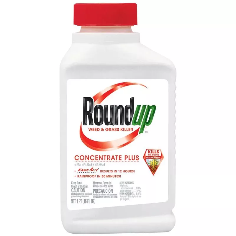 Roundup Weed & Grass Killer₄ Concentrate