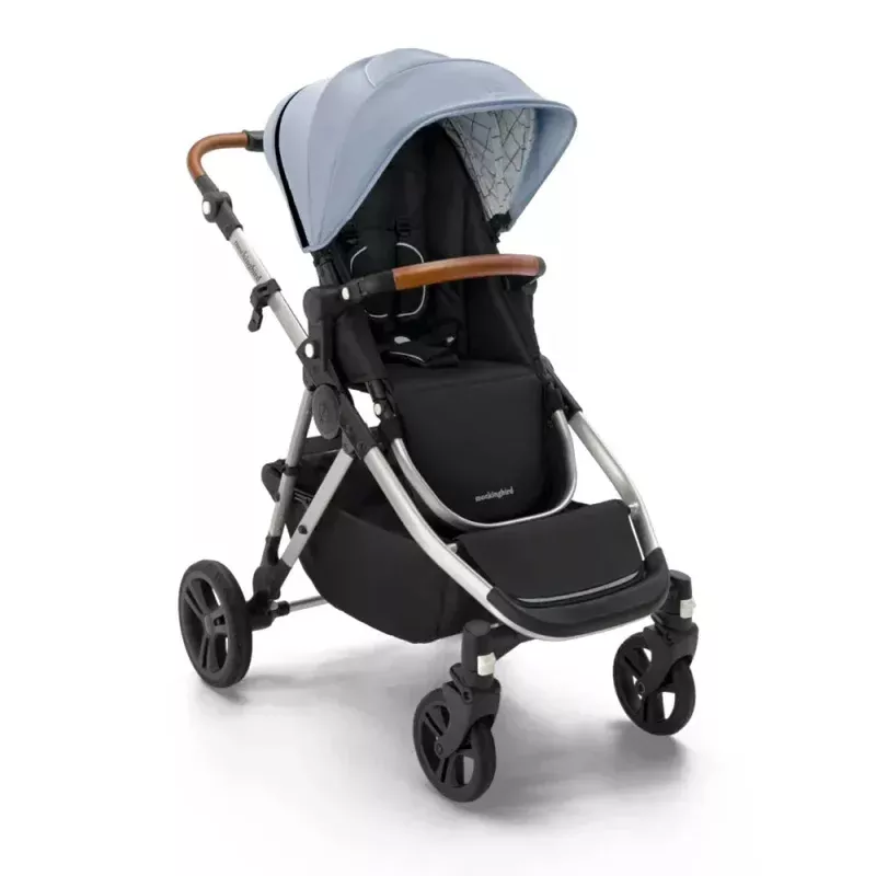 Single-To-Double Stroller 2.0 - Sky Windowpane