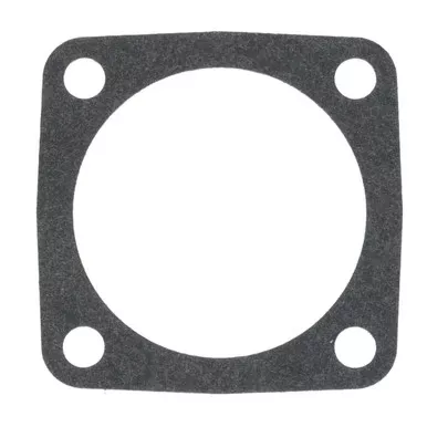 TS Safety Valve Gasket